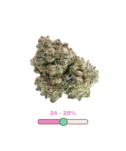 Kief Cannabis Cake Pop Craft Indica Flower 7G