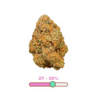 Qwest Bubble Bath Craft Indica Flower 14G