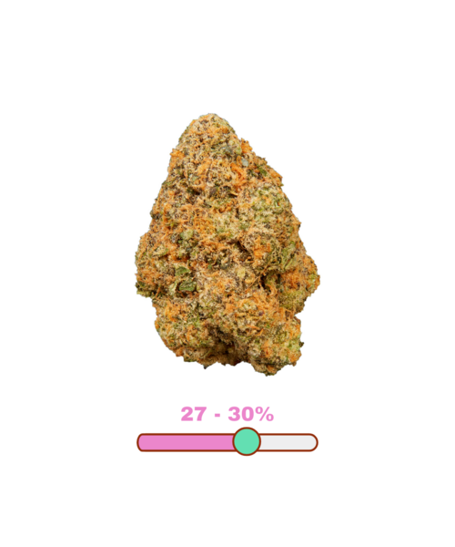 Qwest Bubble Bath Craft Indica Flower 14G