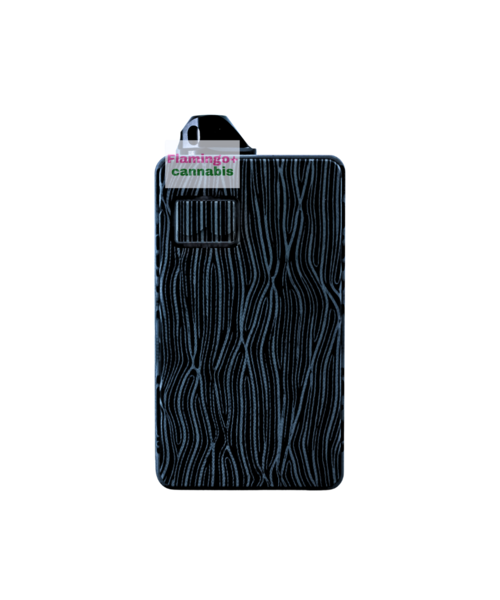 DOTMOD DOTAIO V2 G10 MONARCHY EDITION (LIMITED EDITION) Black