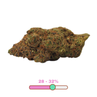 Bold Growth Orange Crush Craft Sativa Flower 3.5G