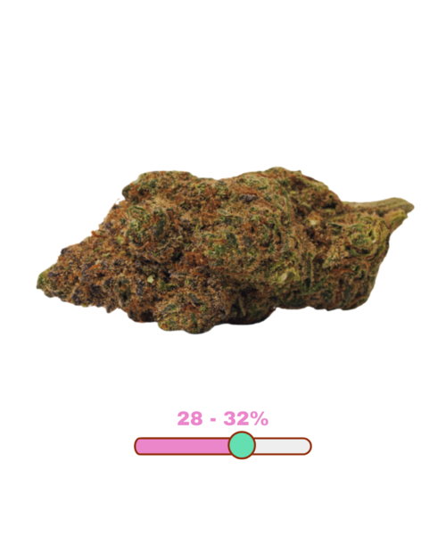 Bold Growth Orange Crush Craft Sativa Flower 3.5G