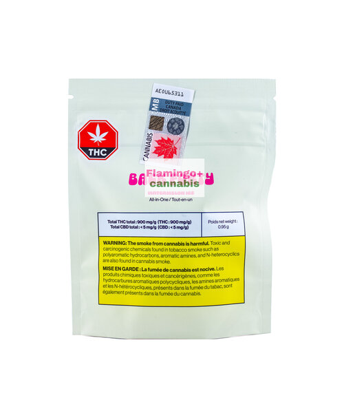 Back Forty Watermelon Ice Sativa Disposable 0.95G