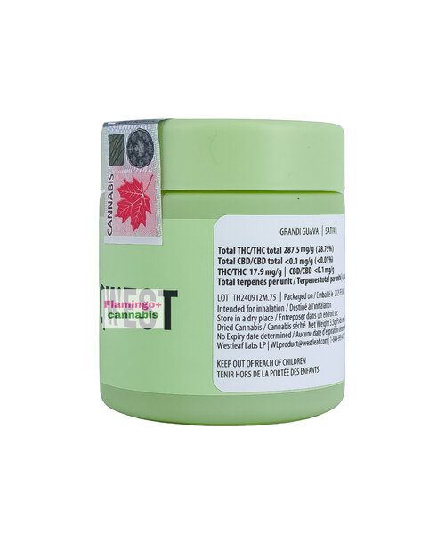 Qwest Grandi Guava Sativa Flower 3.5G
