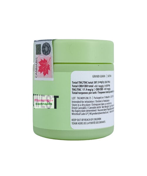 Qwest Grandi Guava Sativa Flower 3.5G