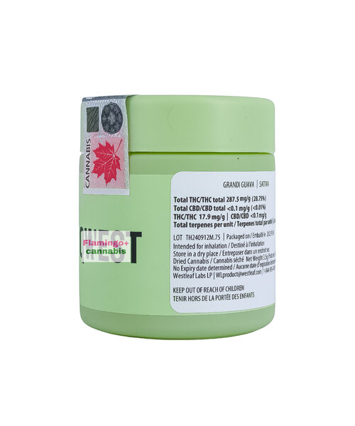 Qwest Grandi Guava Sativa Flower 3.5G