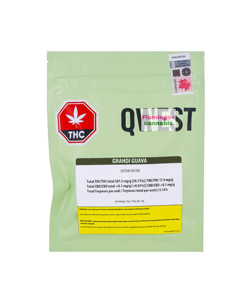 Qwest Grandi Guava Craft Sativa Flower 14G