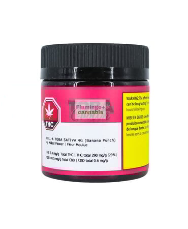 TOBA Grown Toba Grown Mill A Toba Milled Sativa Flower 4G TOBA Grown Toba Grown Mill A Toba Milled Sativa Flower 4G