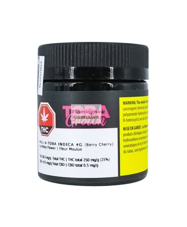 TOBA Grown Toba Grown Mill A Toba Milled Indica Flower 4G TOBA Grown Toba Grown Mill A Toba Milled Indica Flower 4G