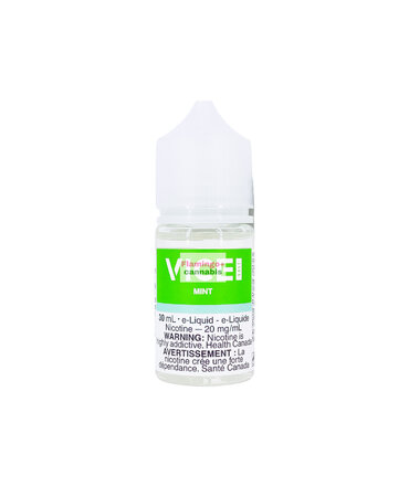 VICE VICE Salt Mint 30mL MB