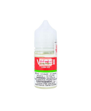 VICE VICE Salt Lush Ice 30mL MB