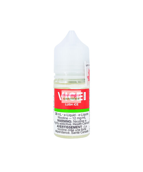 VICE Salt Lush Ice 30mL MB