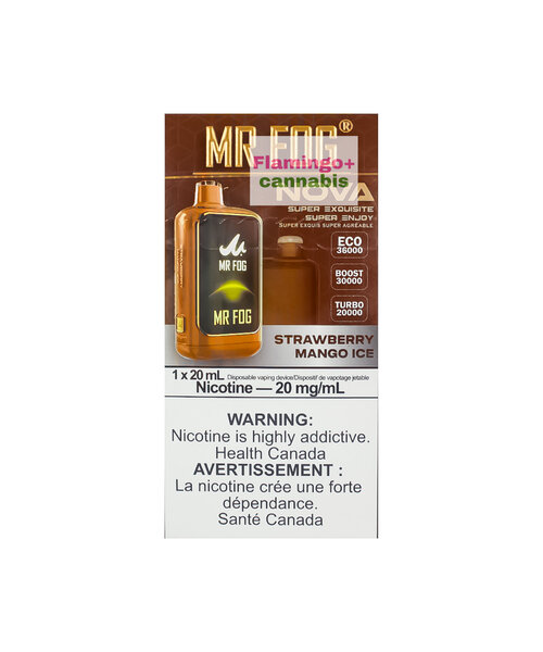 Mr. Fog NOVA Rechargeable Disposable 30k Puff MB Strawberry Mango Ice
