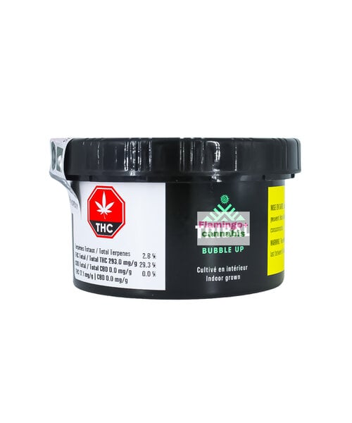 Tribal Bubble Up Craft Indica Flower 3.5G