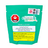 Potluck Winter Mint Chillows THC Pouches X10