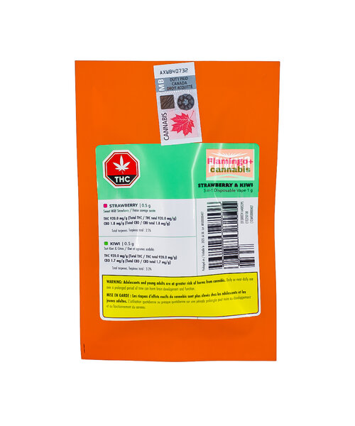 Palmetto Strawberry & Kiwi 3In1 Disposable 1G