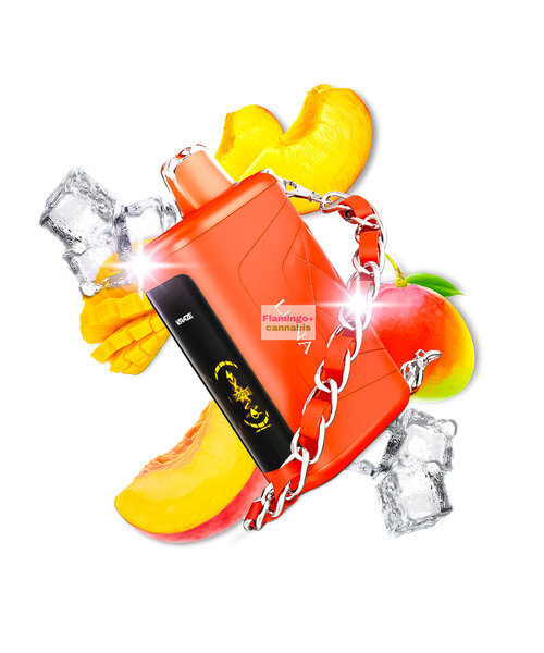 Kraze LUNA Luxury 42k Puff Rechargeable Disposable MB Amber Peach Mango