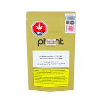 Phant Orange Cream Hybrid Liquid Diamond AIO 1G