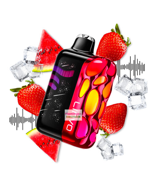 LINVO Rave Pro Beat Sensing Disposable 60k Puff MB Strawberry Watermelon Ice