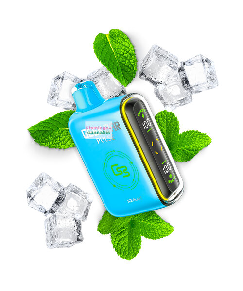Geek Bar Pulse 9000 Puff Rechargeable Disposable 20mg Ice Blast MB