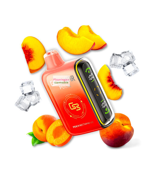 Geek Bar Pulse 9000 Puff Rechargeable Disposable 20mg Peach Nectarine Ice MB