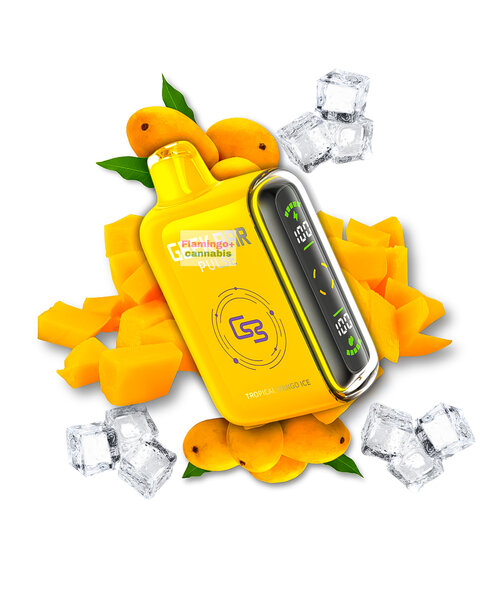 Geek Bar Pulse 9000 Puff Rechargeable Disposable 20mg Tropical Mango Ice MB