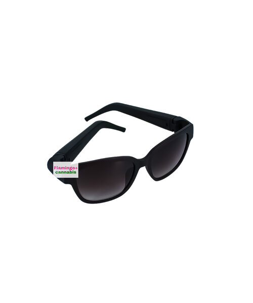 Secret Stash Sunglasses Black