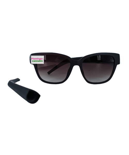 Secret Stash Sunglasses Black
