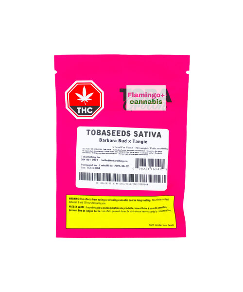 Toba Grown Barbara Bud X Tangie Sativa Seed X1