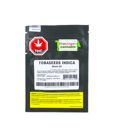 TOBA Grown Toba Grown AF Ghani Indica Seed X1 TOBA Grown Toba Grown AF Ghani Indica Seed X1