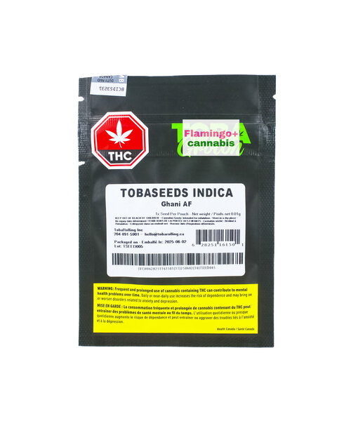 Toba Grown AF Ghani Indica Seed X1