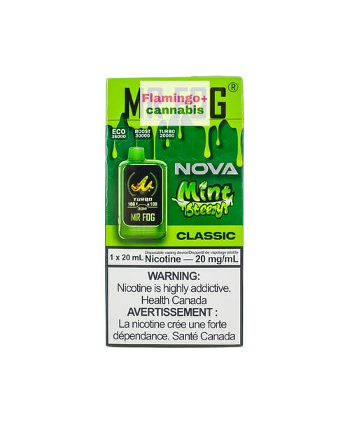 Mr. Fog NOVA Rechargeable Disposable MB Mint Steezy Classic