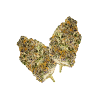 Pure Sun Farms Gorilla Milk Sativa Flower 7G