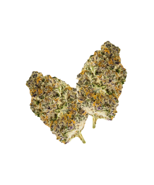Pure Sun Farms Gorilla Milk Sativa Flower 7G