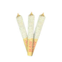 Dab Bods Purple Elephant 50s Infused Pre-Rolls 3X0.5G
