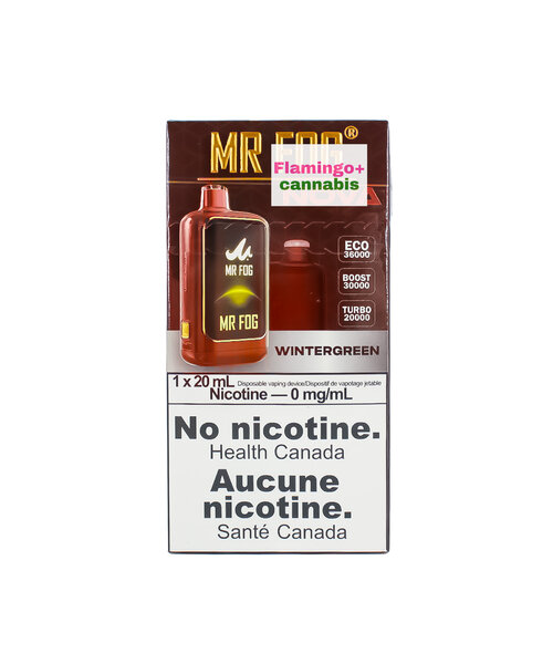 Mr. Fog NOVA Rechargeable Disposable 30k Puff ZERO NICOTINE Wintergreen MB