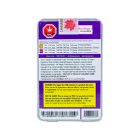 Dab Bods H&G Purple Super Slim 1:1 Elecdartz 10X0.4G