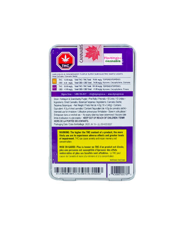 Dab Bods Dab Bods H&G Purple Super Slim 1:1 Elecdartz 10X0.4G