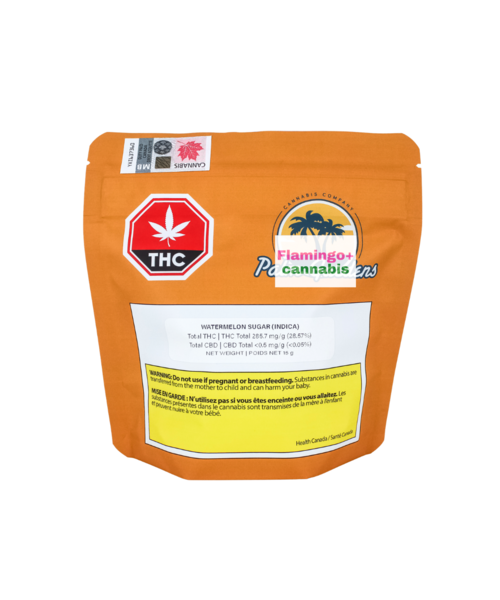 Palm Gardens Watermelon Sugar Craft Hybrid Flower 15G