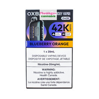 OXBAR G42K Rechargeable Disposable MB Blueberry Orange