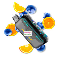 OXBAR G42K Rechargeable Disposable MB Blueberry Orange