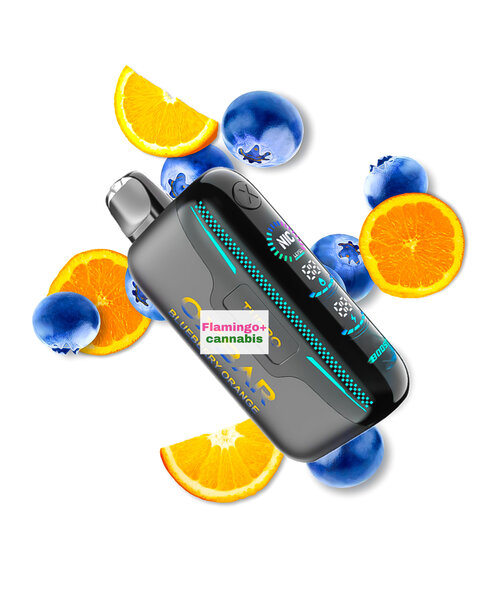 OXBAR G42K Rechargeable Disposable MB Blueberry Orange