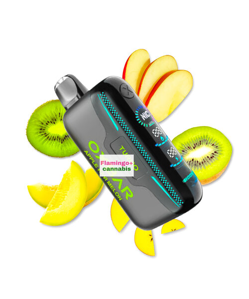 OXBAR G42K Rechargeable Disposable MB Apple Kiwi Melon