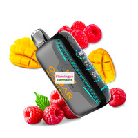 melo shop@即購入◎ページ OXBAR G42K Rechargeable Disposable MB Raspberry Mango
