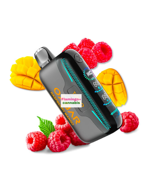 OXBAR G42K Rechargeable Disposable MB Raspberry Mango
