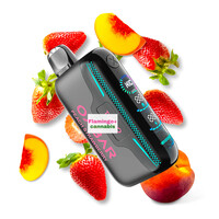 OXBAR G42K Rechargeable Disposable MB Peach Strawberry