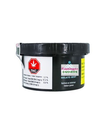 Tribal Tribal Gelato Mint Craft Indica Flower 3.5G Tribal Tribal Gelato Mint Craft Indica Flower 3.5G