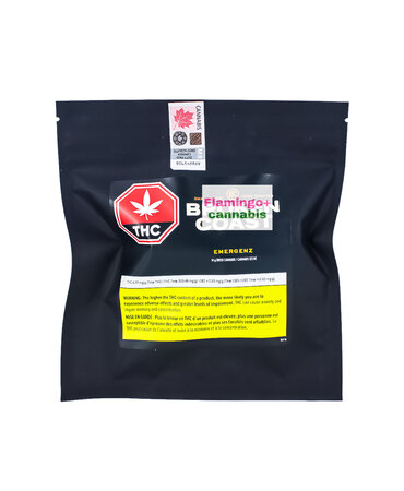 BROKEN COAST Broken Coast Emergen Z Sativa Flower 14G