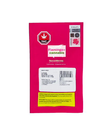 Boxhot Boxhot Dragons Breath Sativa Disposable 1G