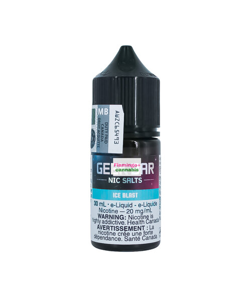 Geek Bar Salt 30ml MB Ice Blast 20mg